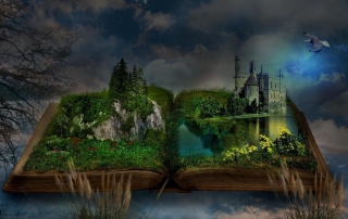 accueillindsayfleury