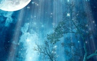 lindsayfeuryblognews