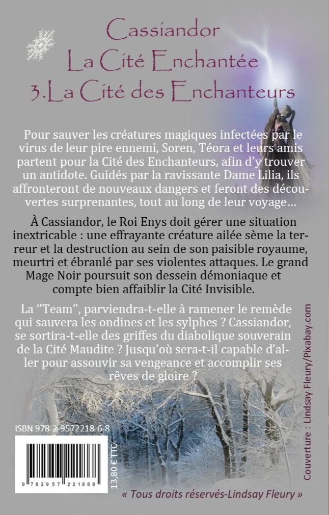 Cassiandor, La Cité Enchantée - La Cité des Enchanteurs ( Tome III ) – Image 2