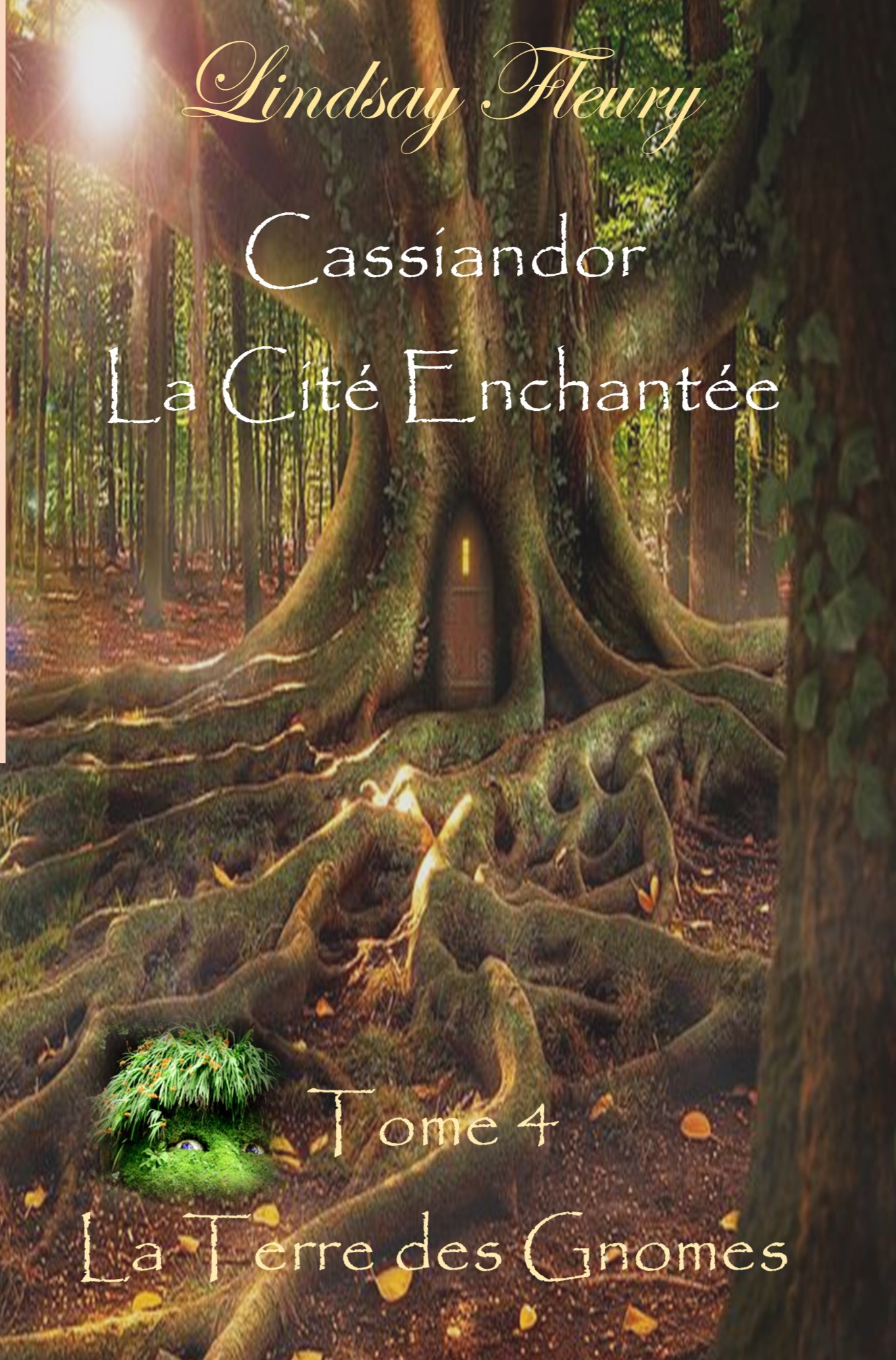 Cassiandor, La Cité Enchantée - La Terre des Gnomes ( Tome IV )